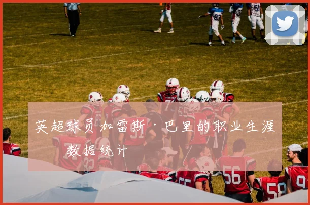 英超球员加雷斯·巴里的职业生涯与数据统计