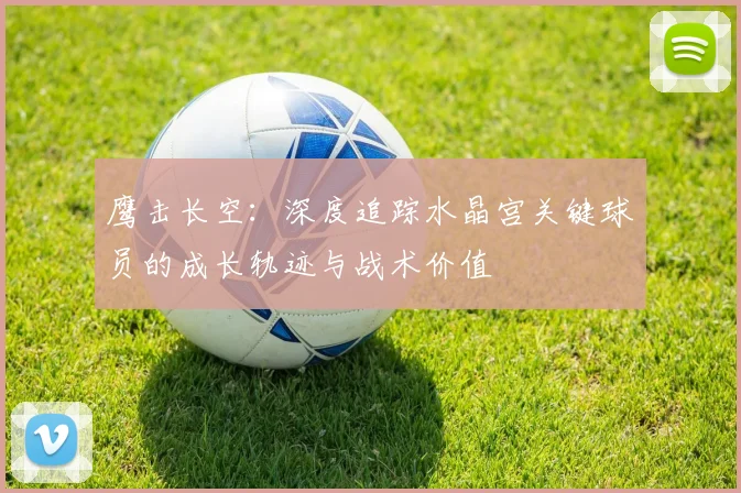 鹰击长空：深度追踪水晶宫关键球员的成长轨迹与战术价值